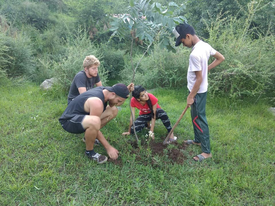 An international fellow and Indian youth planting a tree together on a Kangra hillside in golden afternoon light